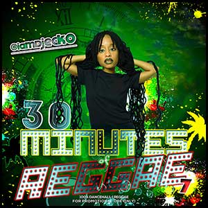 30 Minutes Of Reggae Volume 7