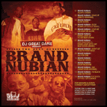 The Best Of Brand Nubian