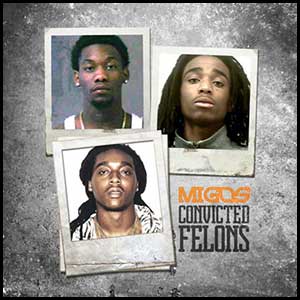 Convicted Felons