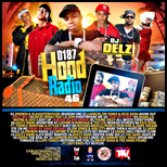 D187 Hood Radio 46