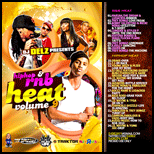Hip Hop And RnB Heat 9