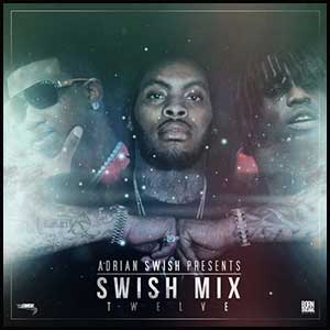 Swish Mix 12