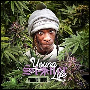 Young Stoner Life