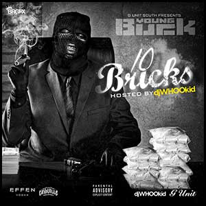 10 Bricks