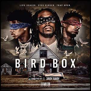 Bird Box Lips Sealed Eyes Closed Trap Open