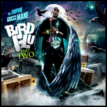 Bird Flu 2
