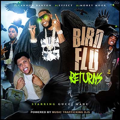 Bird Flu Returns