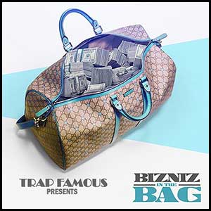 Bizniz In The Bag