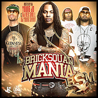 Bricksquad Mania