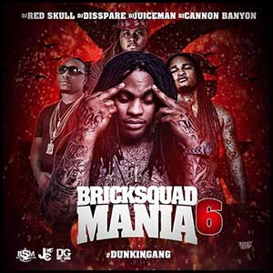 Bricksquad Mania 6