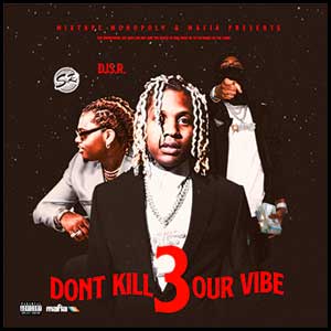 Don't Kill Our Vibe 3
