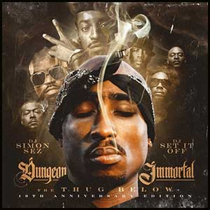 Dungeon Immortal The Thug Below