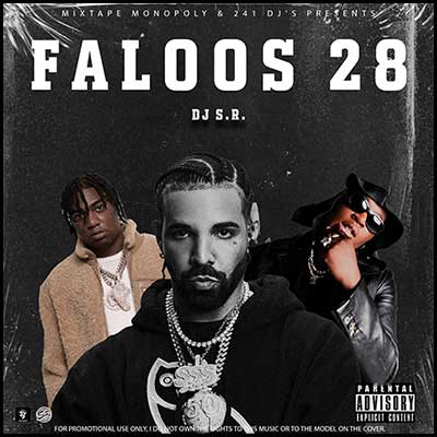 Faloos 28