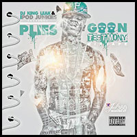 Goon Testimony