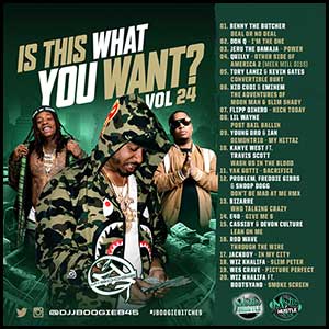 Stream and download Is This What You Want 24
