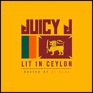 Lit In Ceylon