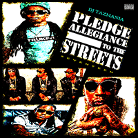 Pledge Allegiance To The Streets 17