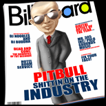 Shittin On The Industry