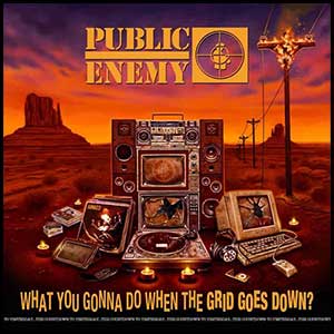 Stream and download What You Gonna Do When The Grid Goes