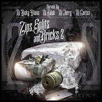 Zips Splits and Bricks 2