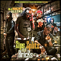 Zips Splitz and Bricks